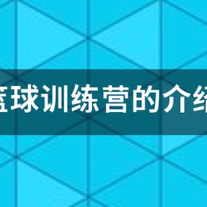 美国篮球国家队训练营有什么人？
